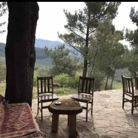 Ida Bay Doga Evleri Kemping *