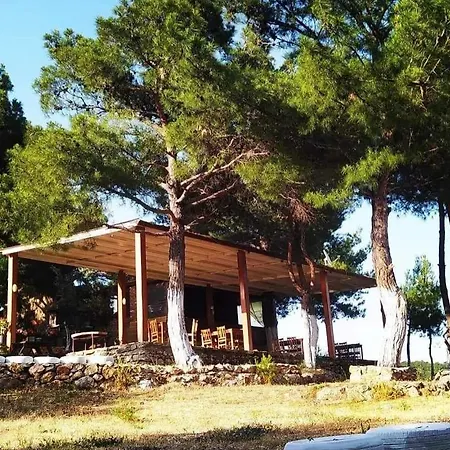 Ida Bay Doga Evleri *