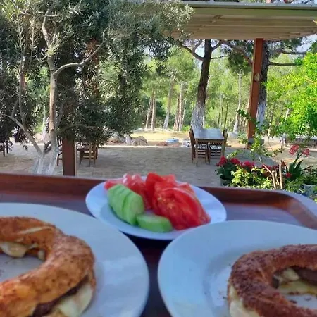 Ida Bay Doga Evleri Kemping