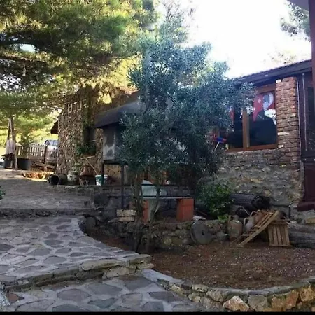 Ida Bay Doga Evleri Kemping