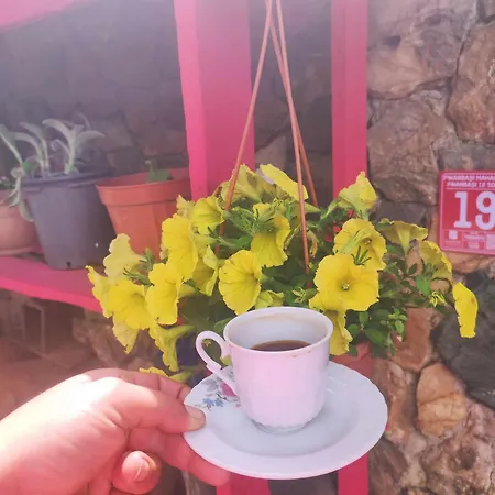 Ida Bay Doga Evleri Edremit (Balikesir)
