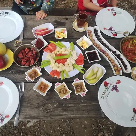 Ida Bay Doga Evleri Kemping *