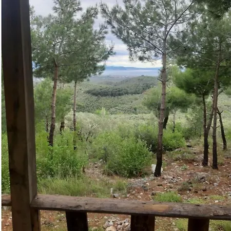 Ida Bay Doga Evleri
