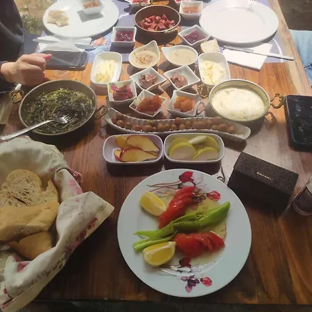 Ida Bay Doga Evleri אתר קמפינג *